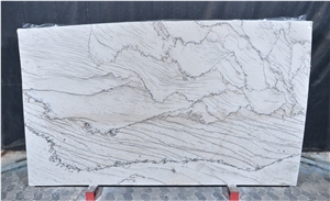 Calacatta Latte Quartzite Slab
