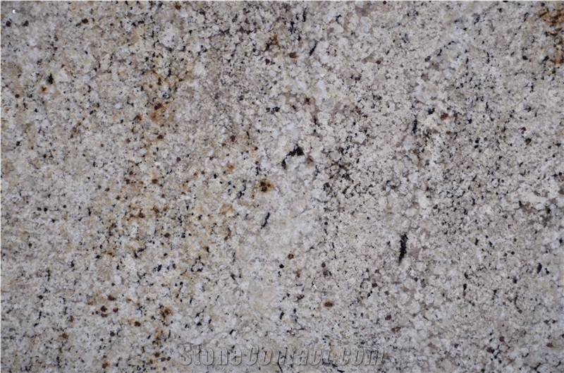 Crema Avorio Granite Slabs