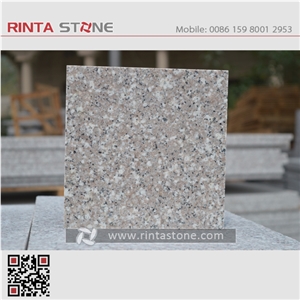 G617 New Pearl Pink Misty Brown Rose Rinta Red