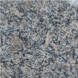 Kaledonia Brown Granite Tiles Floor