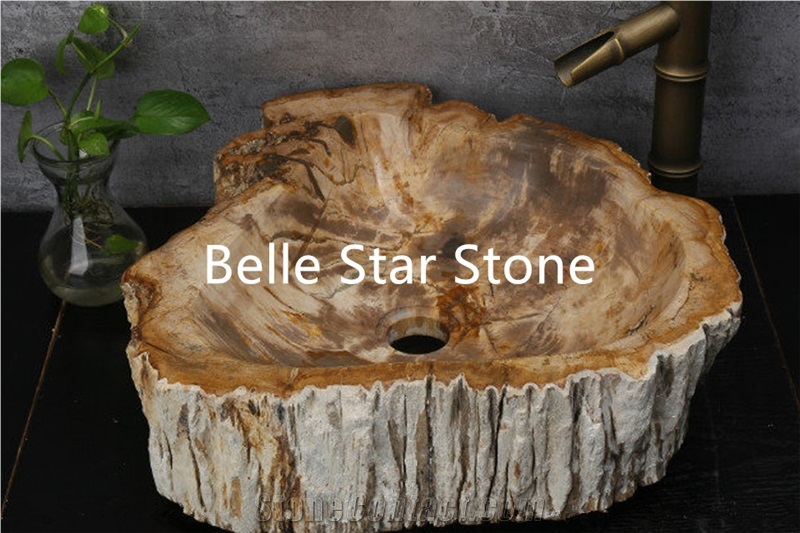 Petrified Wood/Wood Fossil Semiprecious Stone Sink