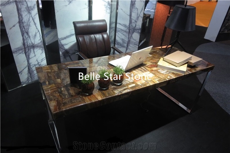 Petrified Wood/Wood Fossil Semiprecious Stone Sink