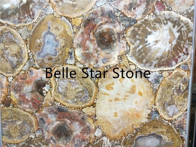 Petrified Wood/Wood Fossil Semiprecious Stone Tile