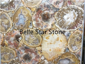 Petrified Wood/Wood Fossil Semiprecious Stone Tile
