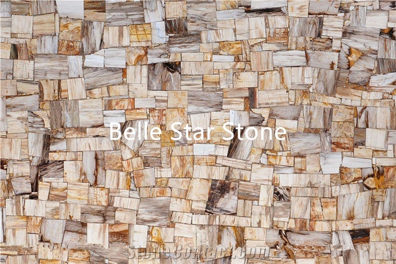 Petrified Wood/Wood Fossil Semiprecious Stone Tile
