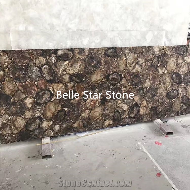 Petrified Wood/Wood Fossil Semiprecious Stone Tile