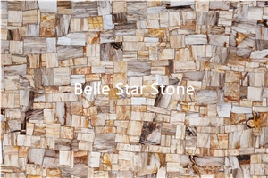 Wood Fossil/Silicified Wood Precious Stone Tiles