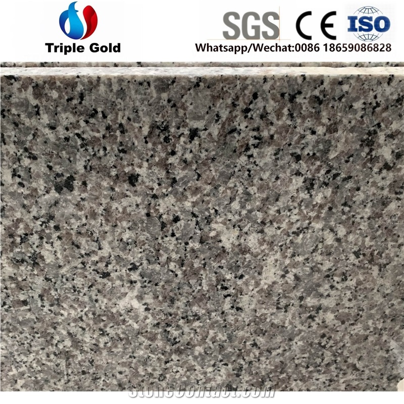 G436 Grey Swan White Bath Countertops Vanity Tops