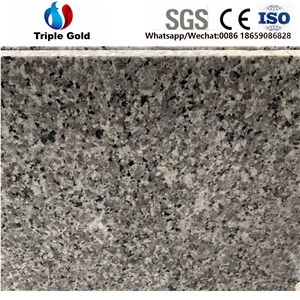 G436 Grey Swan White Bath Countertops Vanity Tops