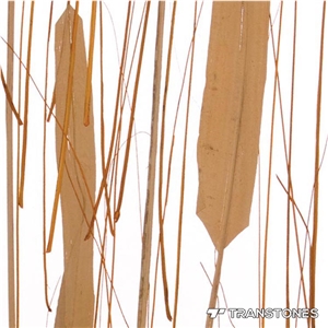 China Heat Resistant 4x8 Translucent Acrylic Panel