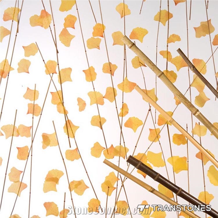 Eco-Friendly Plexiglass Acrylic Sheet