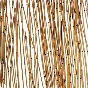 Interior Building Decorating Acrylic Sheet