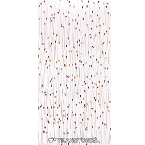 Leaf Pattern Translucent Acrylic Panel Door Design