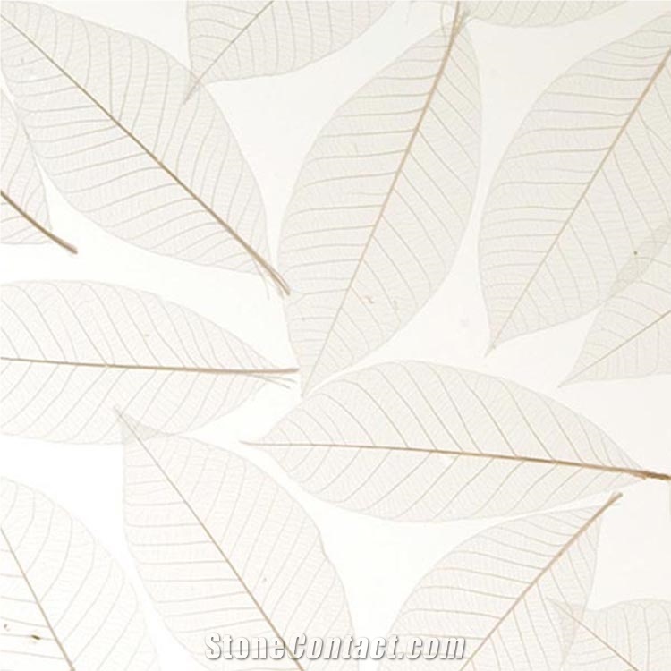 Translucent Resin Panel/Acrylic Sheet/ Wall Panel