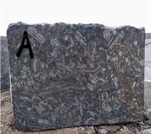 Exotic Black Granite Blocks, Black Antique Granite