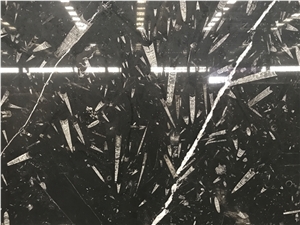 Brown and Black Morocco Fossil Pietra di Erfoud Slab & Tile
