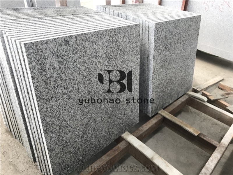Chinese Cheap Granite Grey Sardo G602 Stairs/Steps