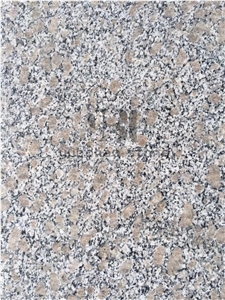 G383 Granite Slabs, New Home Kichen Design Ideas