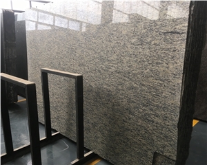 Polished Brazilian Santa Cecilia Granite Slabs