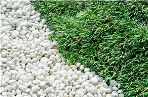 Decorative Pebble Stones for Garden Of White Marble
