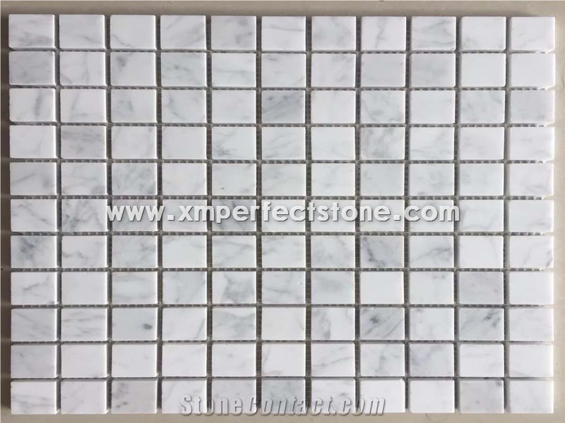 Mosaic Tile & Bianco Carrara White Marble Hexagon Mosaic