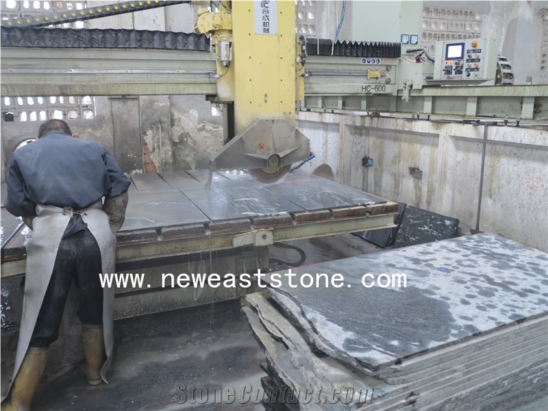 China Jet Mist Black Snow Flake /Snow Leopard Granite Slabs& Tiles