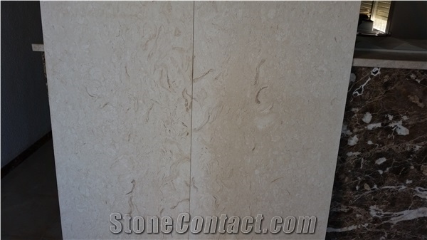 Shell Reef Limestone Tiles