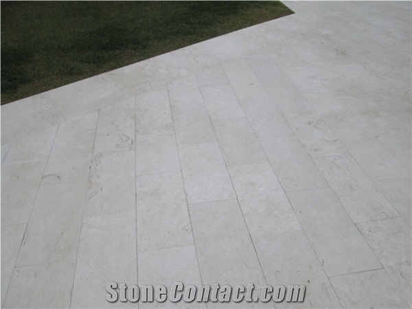 Shell Reef Limestone Tiles