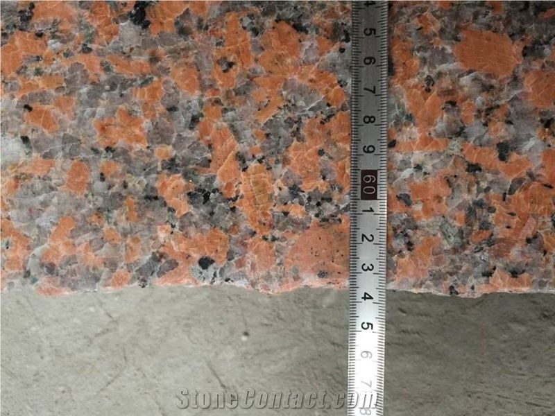 China Red Granite Slabs, G562 Maple Leaf Red Granite Slabs & Tiles