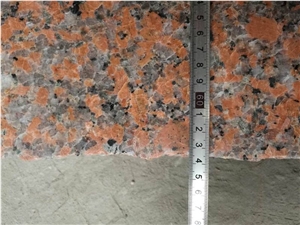 China Red Granite Slabs, G562 Maple Leaf Red Granite Slabs & Tiles