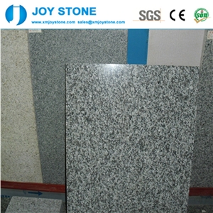 China Bianco Sardo Chinese Polished G623 Granite Countertop Kitchen