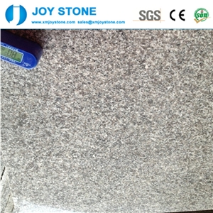 China Bianco Sardo Chinese Polished G623 Granite Countertop Kitchen
