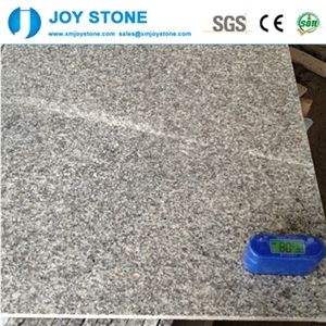 China Bianco Sardo Polished Grey Granite G623 Tiels&Slabs