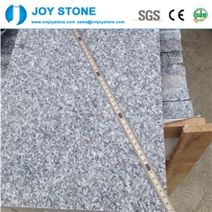 China Bianco Sardo Polished Grey Granite G623 Tiels&Slabs