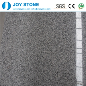 Hot Selling Cheap Good Quality Light Grey G603 Polished Countertops