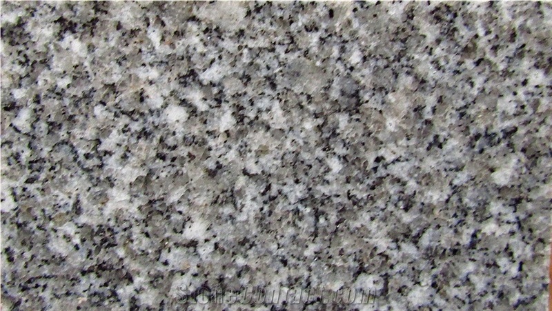 Grey El-Sherka Granite Slabs