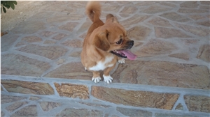 Kafe Gkri Sandstone Irregular Flagstone Courtyard Pavement