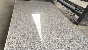 Cheap Chinese Light Grey Granite G602,Polished Big Slabs,Leiyan Stone