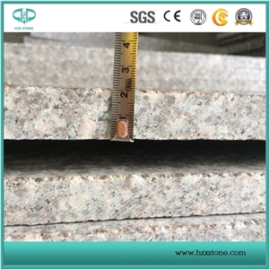 G664 Violet Luoyuan Granite for Monuments