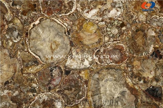 Grey Bamboo Semiprecious Stone Slabs & Tiles