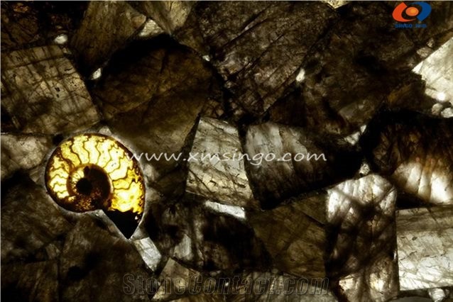 Grey Bamboo Semiprecious Stone Slabs & Tiles