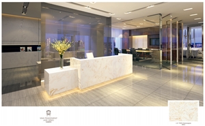 Ls-T005 Champagne / Artificial Stone Tiles & Slabs