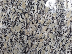 Polished Gold Autumn Granite Tiles&Slabs Granite Flooring&Walling