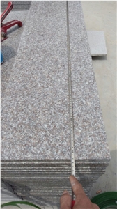 China New G664 Granite Polished/Flamed 1.5/2/3cm Stairs/Steps/Risers