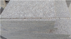 China New G664 Granite Polished/Flamed 1.5/2/3cm Stairs/Steps/Risers