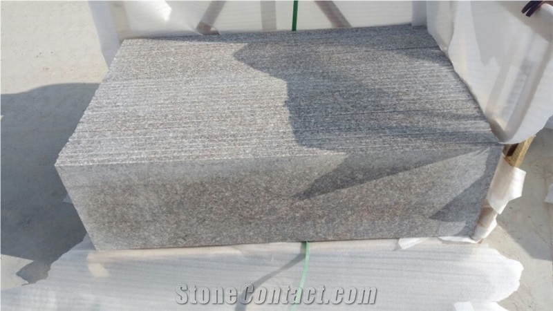 China New G664 Granite Polished/Flamed 1.5/2/3cm Stairs/Steps/Risers