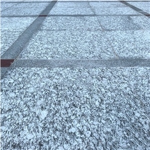 Plishing G377 Sea-Wave White Granite Tiles & Slabs
