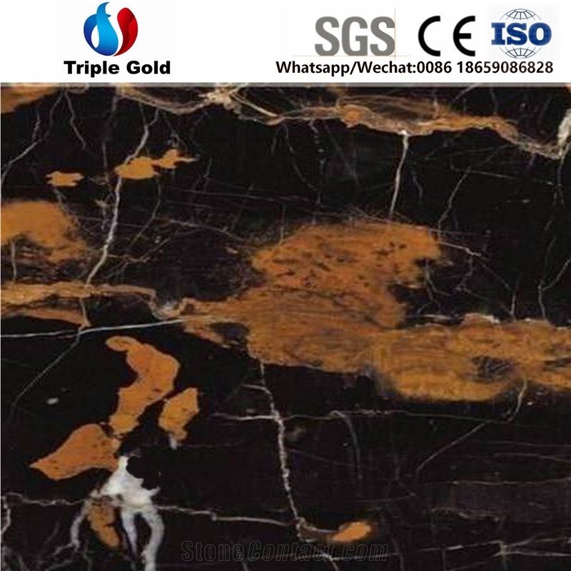 Portoro Afgha,Black and Gold Marble Border Lines Interior Stone