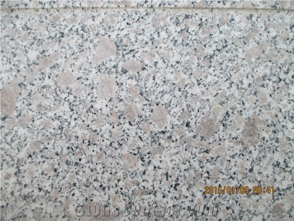 Competitive Price Chinese Granite G383 Granite Slabs