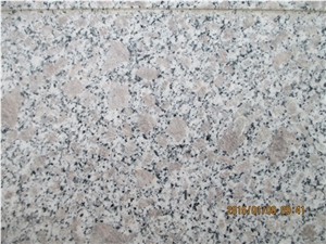 Competitive Price Chinese Granite G383 Granite Slabs